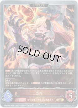 画像1: 【EVOLVE】カヤ