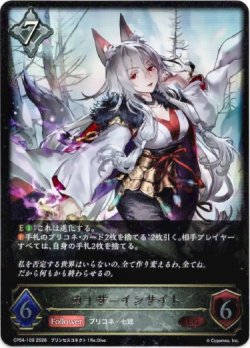 画像1: ※傷有り品（返品交換対象外）カイザーインサイト