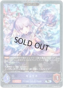 画像1: 【プレミアム】【EVOLVE】キョウカ