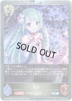 画像1: 【プレミアム】チカ