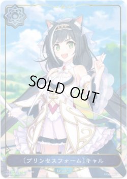 画像1: 【リーダー】〔プリンセスフォーム〕キャル