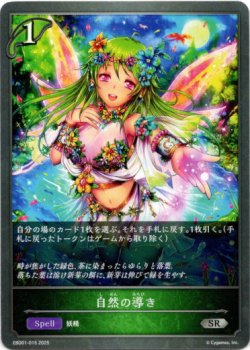 画像1: 自然の導き