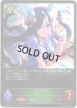 画像1: ※傷有り品（返品交換対象外）ホッコータルマエ