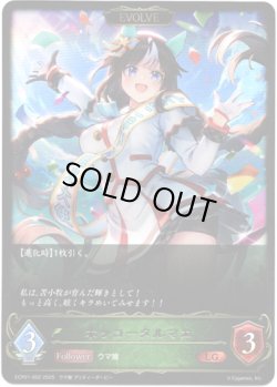 画像1: ※傷有り品（返品交換対象外）【EVOLVE】ホッコータルマエ
