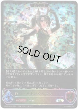 画像1: ※傷有り品（返品交換対象外）【スーパーレジェンド】【EVOLVE】サトノクラウン