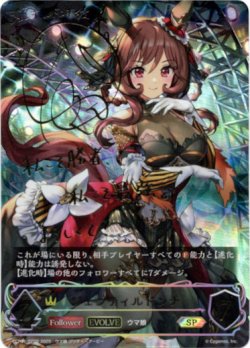 画像1: ※傷有り品（返品交換対象外）【SP】【EVOLVE】ジェンティルドンナ