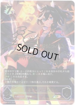 画像1: 【SP】カツラギエース