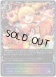 ※傷有り品（返品交換対象外）【スーパーレジェンド】キラデコ☆パレード