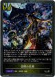 【PR】盗賊の乱飛
