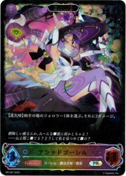 画像1: 【PR】【EVOLVE】アシッドゴーレム
