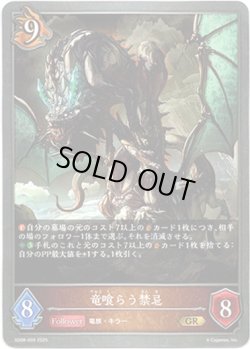 画像1: 竜喰らう禁忌