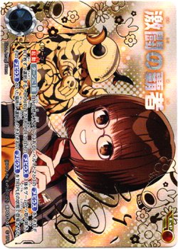 画像1: 【EXP】激闘の覇者