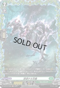 画像1: 【FR】逍遥する忠義