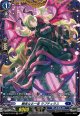 【FR】艶美なる一夜 ラプチュラス