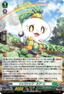 画像1: 【ホロ】シャワシャワ・カブーレ