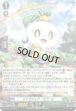 画像1: 【ホロ】シャワシャワ・カブーレ