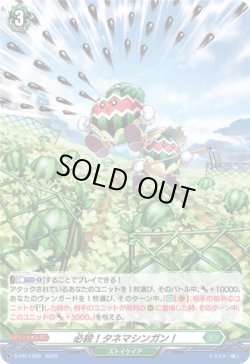 画像1: 【ホロ】必殺！タネマシンガン！