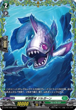 画像1: ※傷有り品（返品交換対象外）深淵霊域 ジルガーン