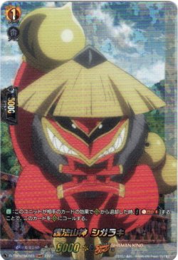画像1: 【SKR】護法山神 シガラキ