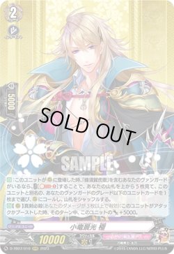 画像1: 小竜景光 極