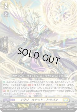 画像1: イグゾールテッド・ドラゴン