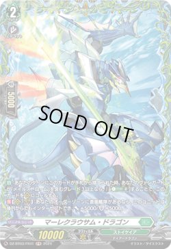 画像1: 【FR】マーレクラウサム・ドラゴン