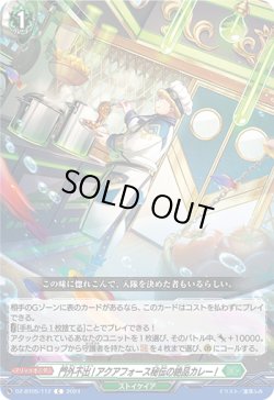 画像1: 門外不出!アクアフォース秘伝の絶品カレー!
