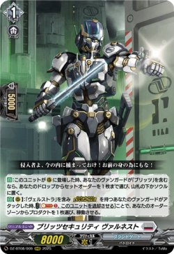 画像1: ブリッツセキュリティ ヴァルネスト
