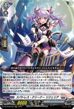 画像1: スパトレス・クリーナー リジェリア