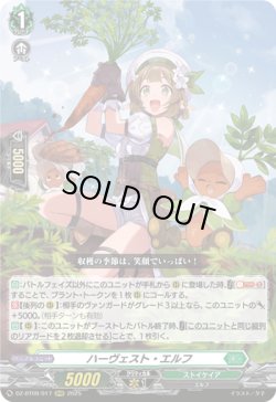 画像1: ※傷有り品（返品交換対象外）ハーヴェスト・エルフ