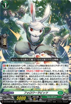 画像1: フォロワーラビッツ