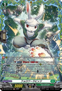 画像1: 【FR】フォロワーラビッツ