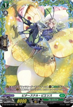 画像1: 【FR】ビタースケル・ピエリス