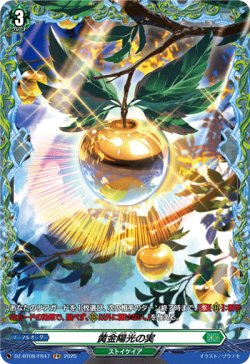画像1: 【FR】黄金陽光の実