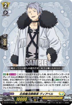 画像1: 北部魔法隊隊長 ヴィアベル