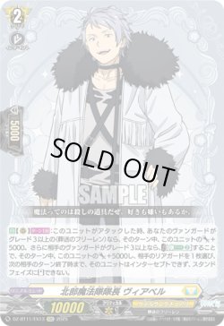 画像1: 北部魔法隊隊長 ヴィアベル