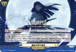 画像1: 魔族を殺す魔法