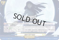 画像1: 魔族を殺す魔法