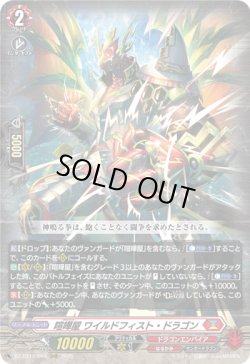 画像1: 喧嘩屋 ワイルドフィスト・ドラゴン