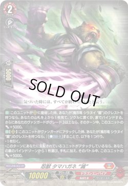 画像1: 忍獣 タマハガネ “滅”