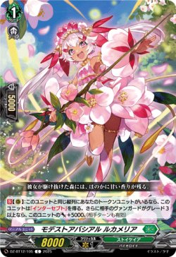 画像1: モデストアバシアル ルカメリア