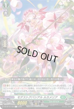 画像1: モデストアバシアル ルカメリア