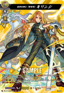 画像1: ※傷有り品（返品交換対象外）【MSR】乱世を翔る「革命家」 キリンジ