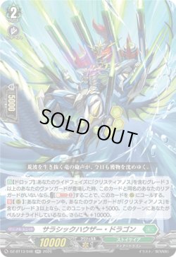 画像1: サラシックハウザー・ドラゴン