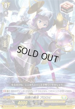 画像1: 加護の魔法 プロロビ