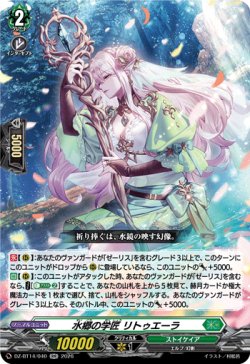 画像1: ※傷有り品（返品交換対象外）水郷の学匠 リトゥエーラ