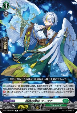 画像1: 照験の学徒 シーグナ
