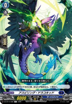 画像1: アスピリング・ドラコキッド