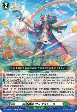 画像1: 促進魔法 ヴォクストール