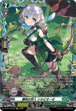 画像1: 【FR】親和の狩人 シルビオーゼ